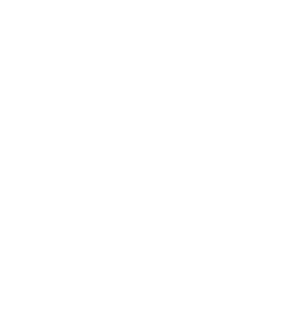 Newton Protocol